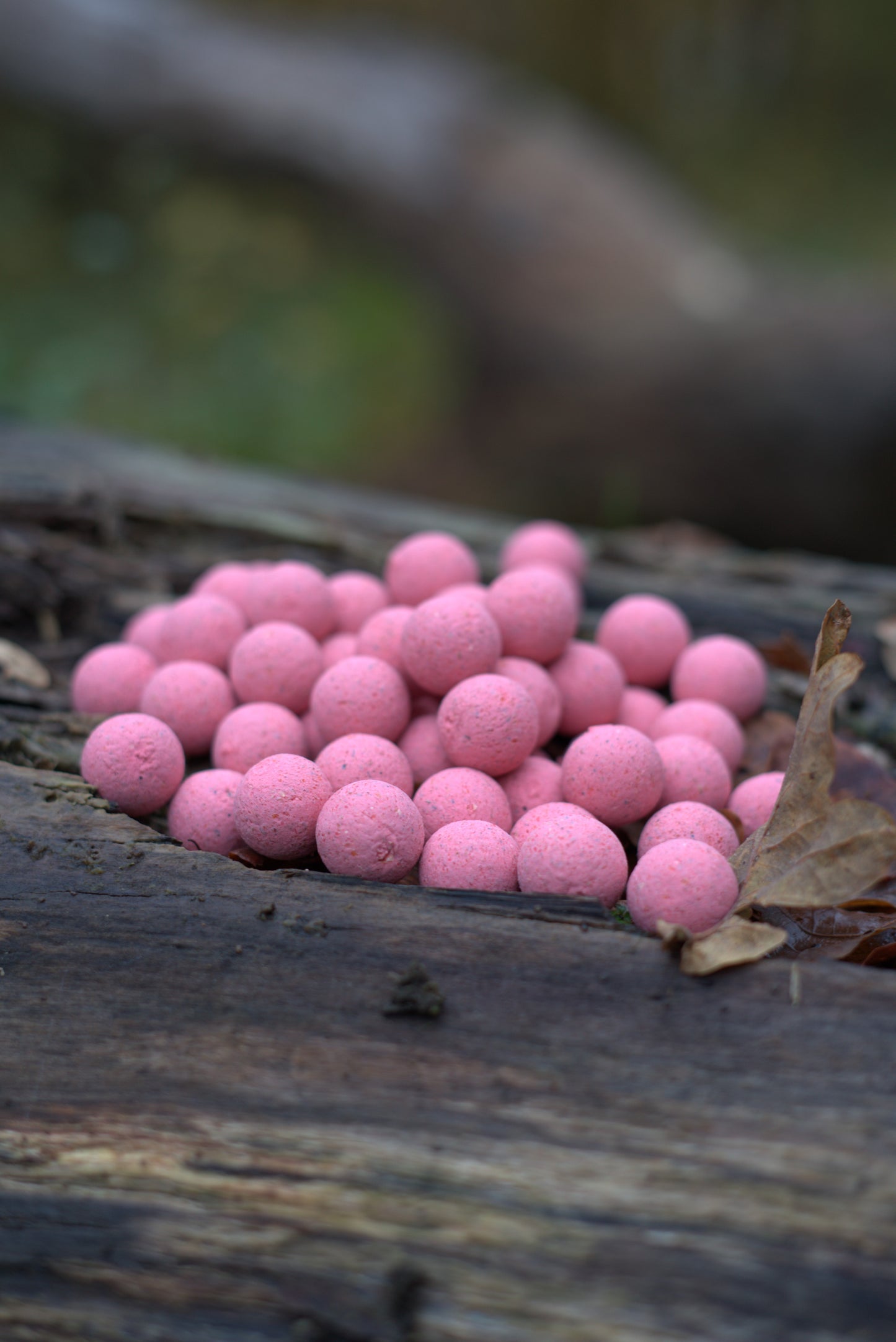 Fruity Icecream boilies